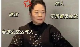 阮梅爆料最新,揭秘娱乐圈惊人内幕，真相令人震惊！