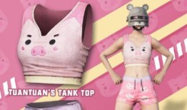 小团团皮肤爆料最新版,全新版本惊艳亮相，带你领略梦幻魅力