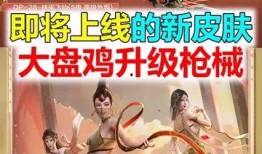 大盘鸡皮肤最新爆料,揭秘背后惊人真相