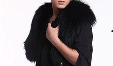 娱乐八卦最新爆料陈翔,神秘美女相伴，恋情真相引网友热议