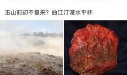 4月份的瓜最新爆料,4月爆料揭秘娱乐圈风云变幻