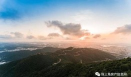 八卦有理爆料无罪最新爆料地址,揭秘神秘地址背后的惊人真相