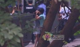 对峙2最新爆料刀,刀系英雄全新技能曝光，战局风云再起！