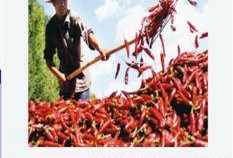酒泉媒体爆料最新消息,重大事件引发社会关注！
