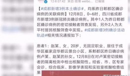 成都欠钱爆料案件最新消息,追踪追讨进展，揭秘案件细节