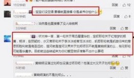娱乐圈最新八卦爆料软件,揭秘明星私生活大揭秘！