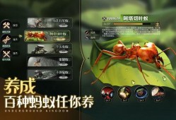 小小蚁国最新活动爆料,揭秘最新活动亮点与福利大放送！